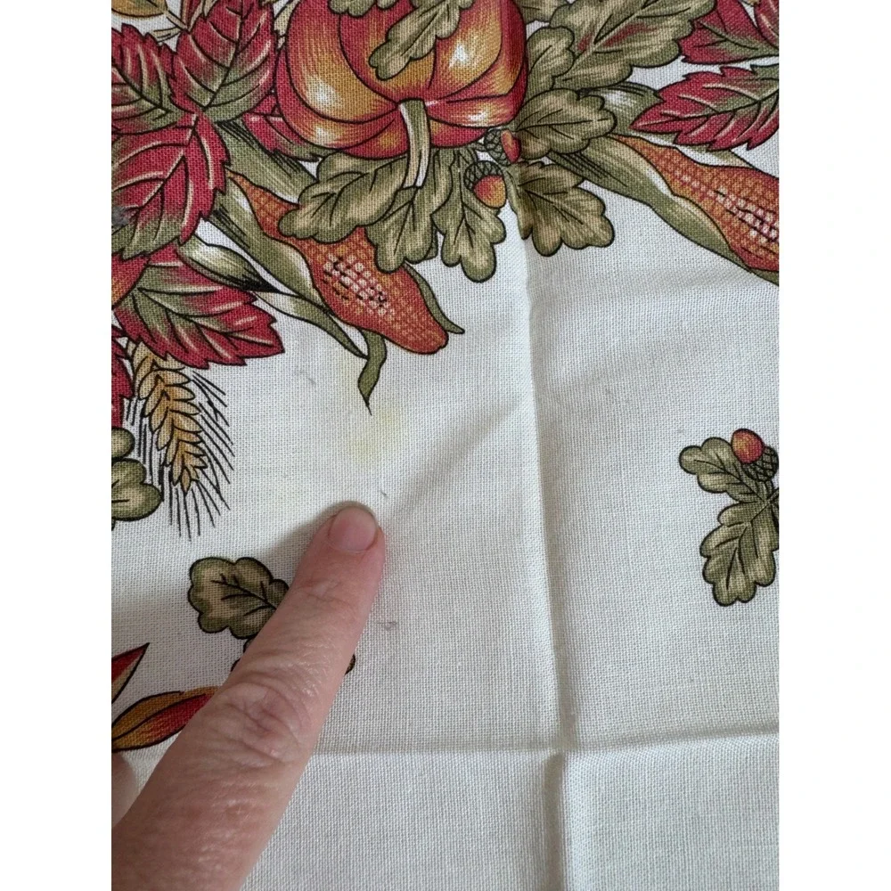W.C. Designs Vintage Fall Harvest Pumpkin Cotton Cloth Napkins Set of 10 Brazil
